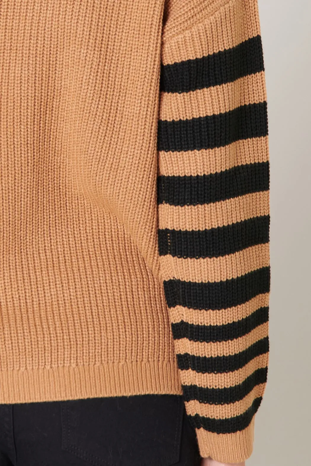 Allspice Stripe Sleeve Sweater