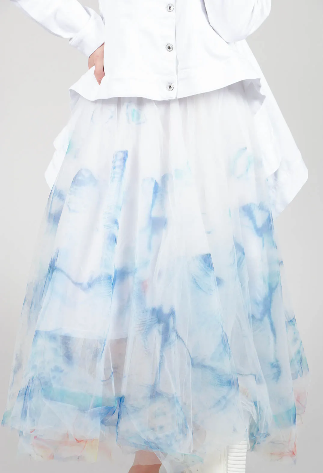 Printwork Tulle Skirt in Blue