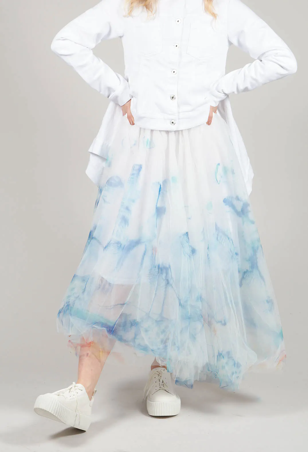 Printwork Tulle Skirt in Blue